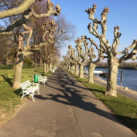 Krone Ruedesheim Szálloda Rüdesheim am Rhein