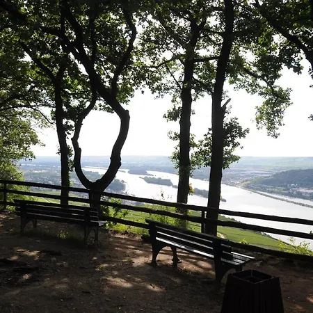 Hotel Krone Ruedesheim Rüdesheim am Rhein