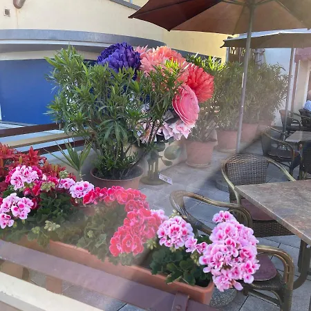 Krone Ruedesheim Hotel 2*