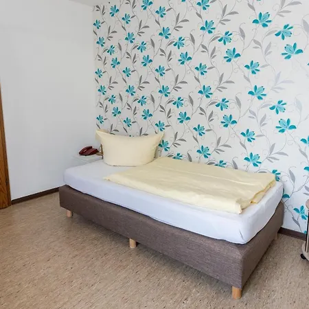 クローネ リューデスハイム 2* リューデスハイム・アム・ライン