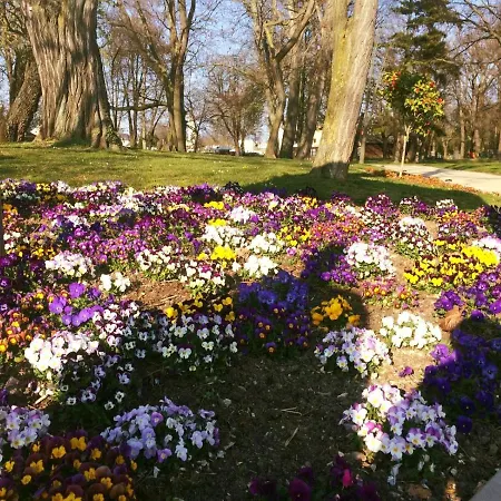 クローネ リューデスハイム