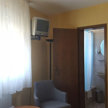 Hotel Krone Ruedesheim 2*