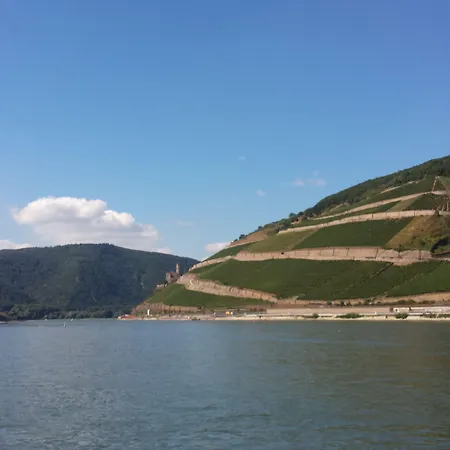 Krone Ruedesheim Hotel 2*