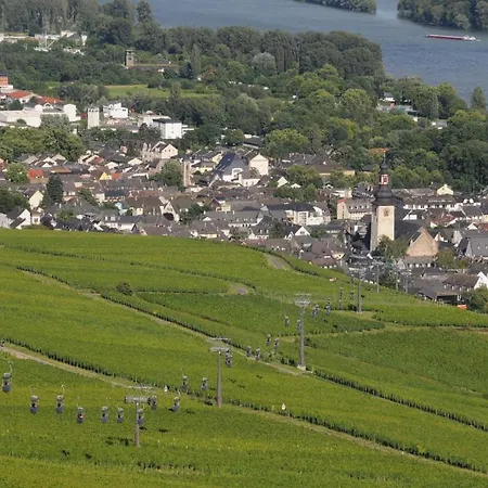 Hotel Krone Ruedesheim 2*