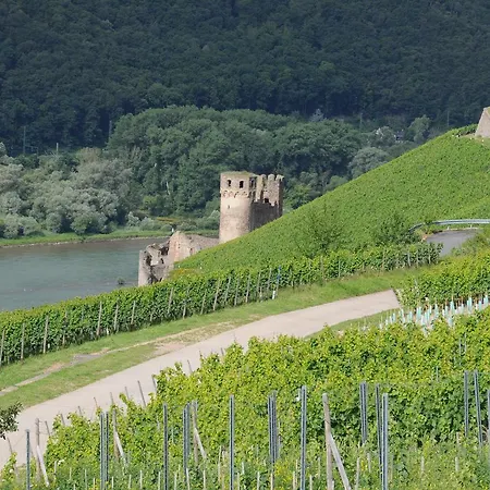 クローネ リューデスハイム ホテル