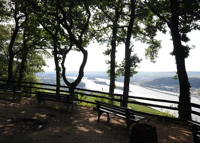 Hotel Krone Ruedesheim Rüdesheim am Rhein